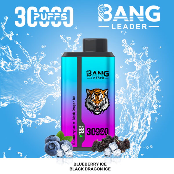 Bang Leader 30000 Blueberry Ice/Black Dragon Ice