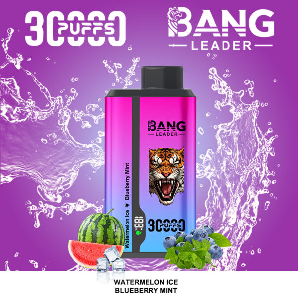 Bang Leader 30000 Watermelon Ice/Blueberry Mint