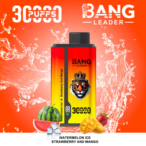 Bang Leader 30000 Watermelon Ice/Strawberry And Mango