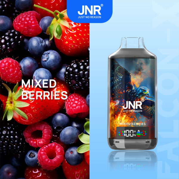 JNR Falcon X 18000 Mixed Berries