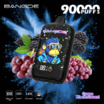BANG DE 90K Grape Blackcurrant