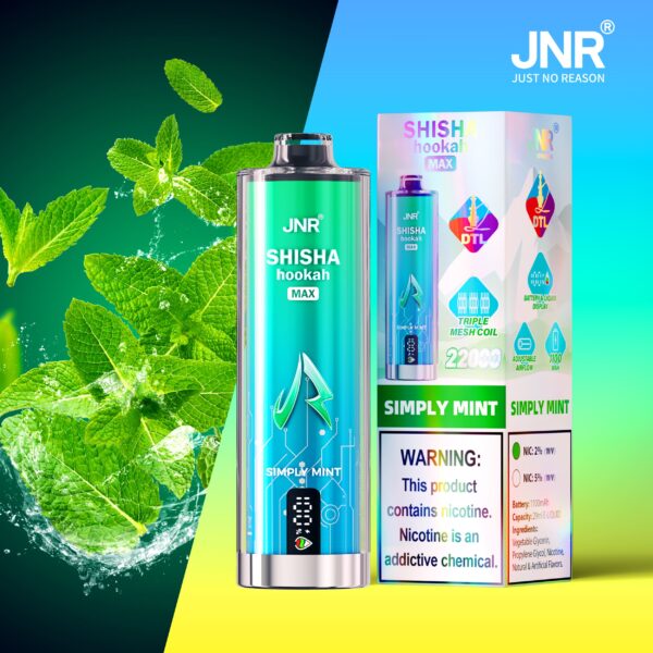 JNR Shisha Max 22000