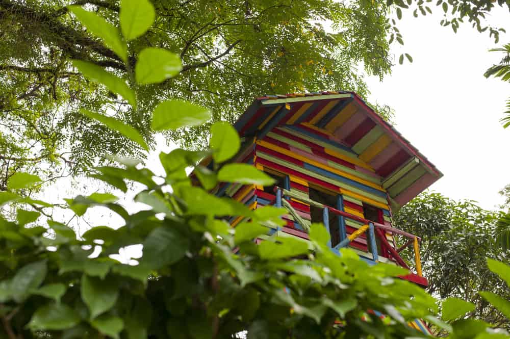 Bright colorful kids treehouse