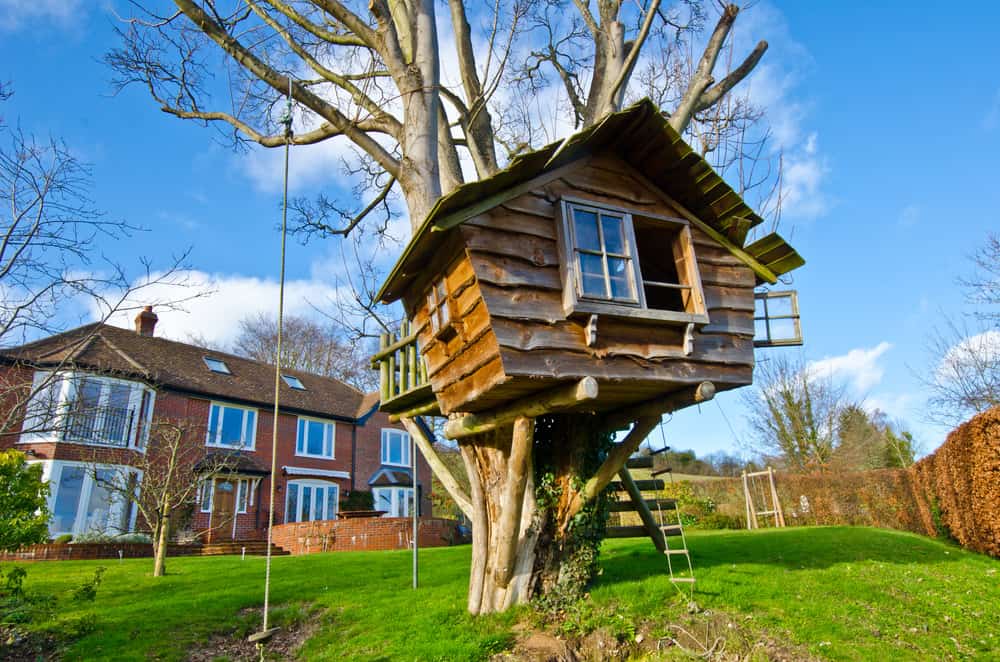Hut treehouse in the backyard