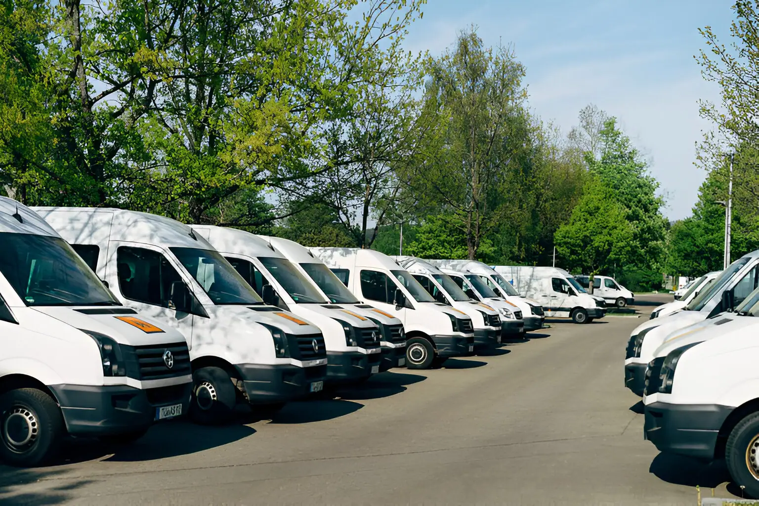 wedding logistic service