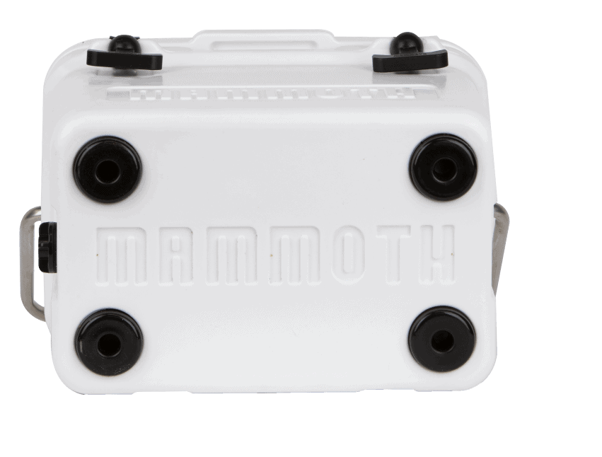 Product-Page---4_03-min cruiser bottom view