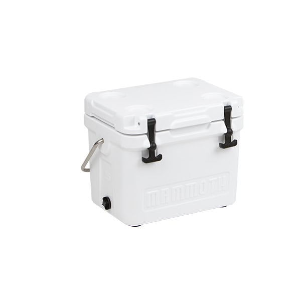 Cruiser-25-white-angled