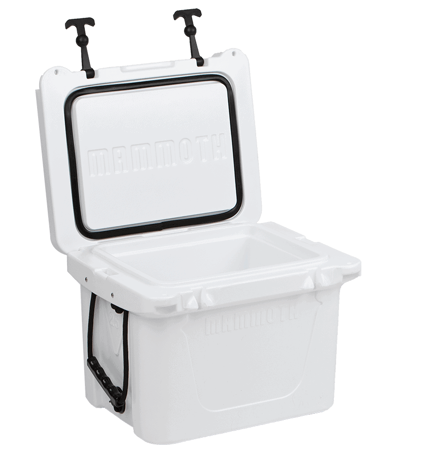 white ranger 25 open