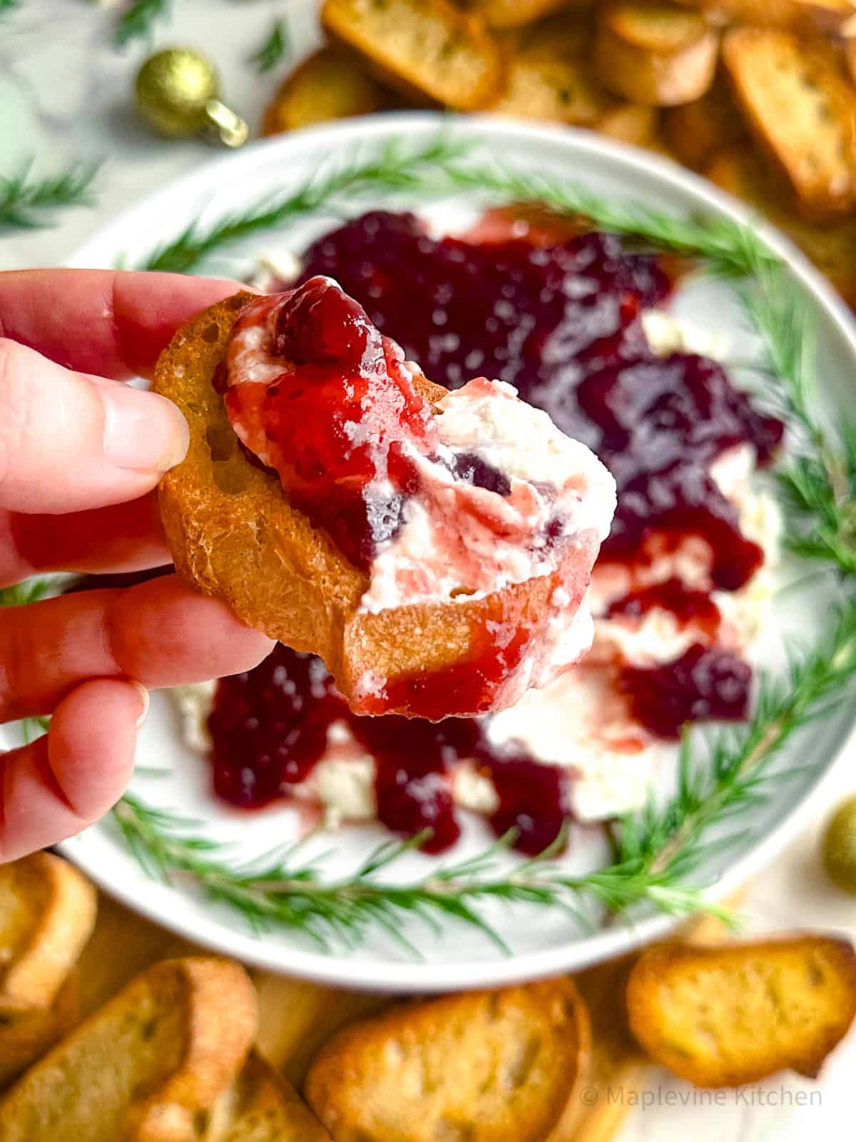 Cranberry whipped feta dip spread on a crostini held by a hand.