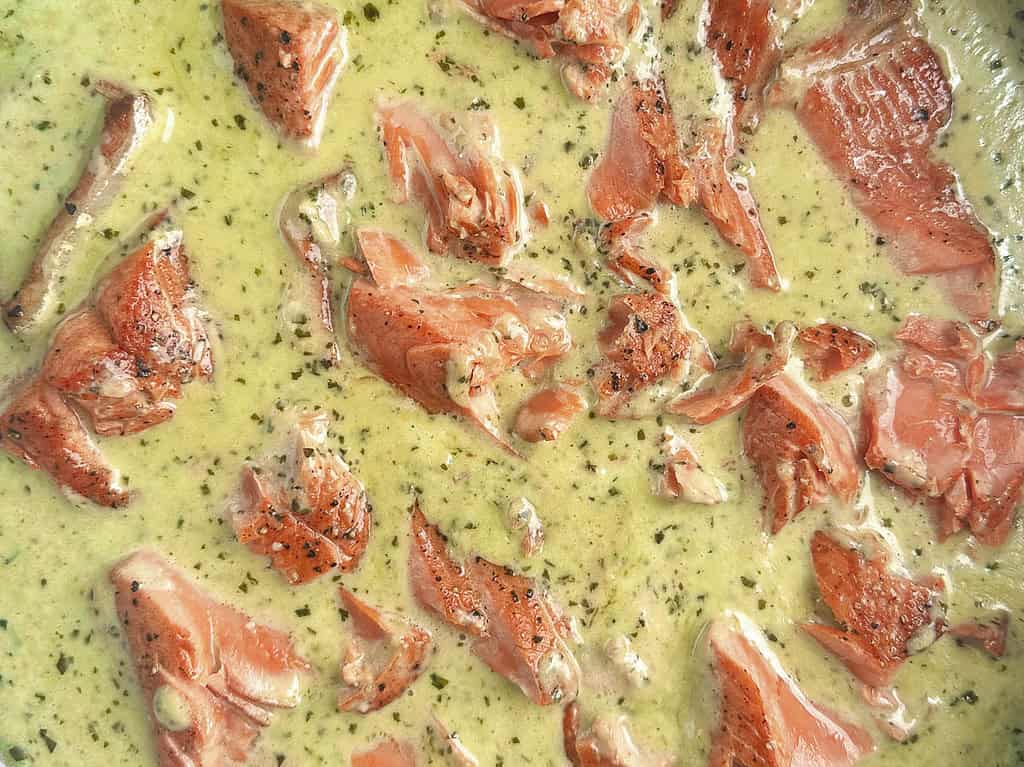 Salmon in a creamy pesto sauce.