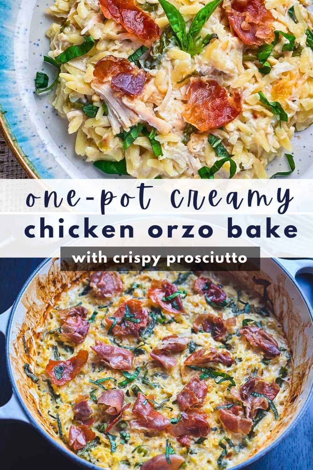 Creamy chicken orzo pasta in a Dutch oven and dished out on a plate with crispy prosciutto and basil on top.