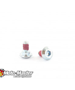 Bromsskivebult M6x14 BAK/FRAM
