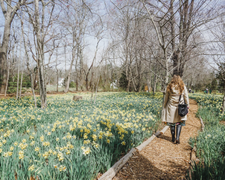 One of the best places to visit during the New England spring season