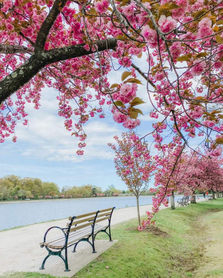 One of the best places to visit during the New England spring season