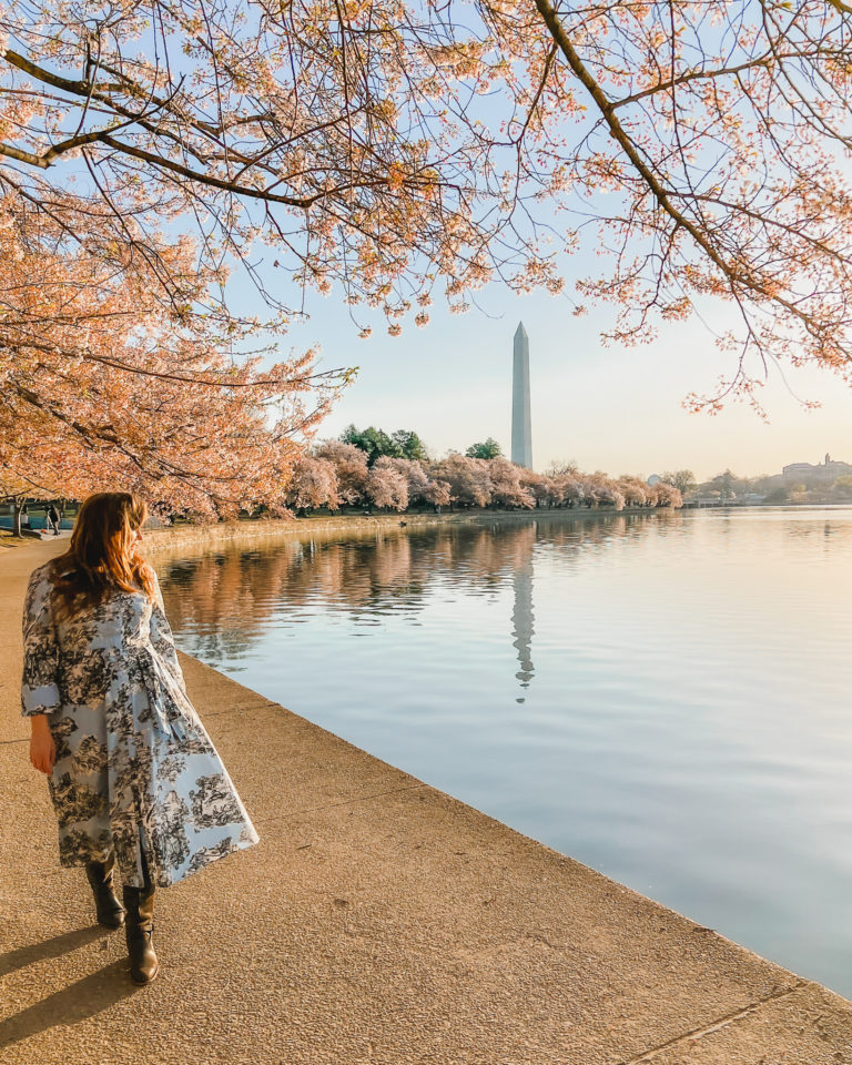 Here's your perfect Washington DC 3 day itinerary, and my biggest advice? Plan your trip early and during cherry blossom season!
