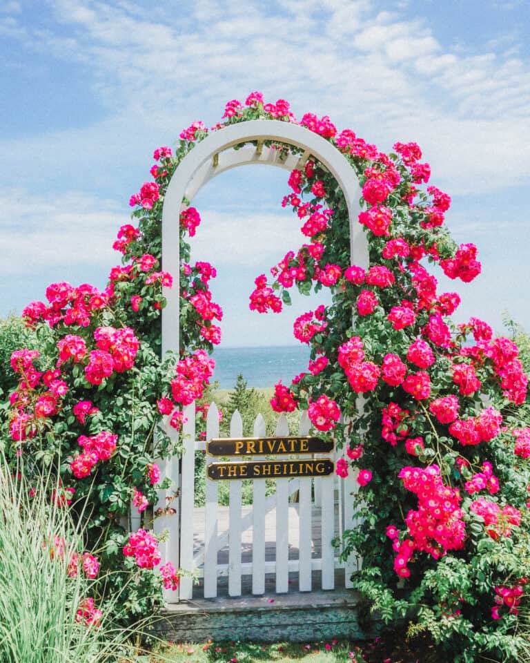 best things to do in Nantucket