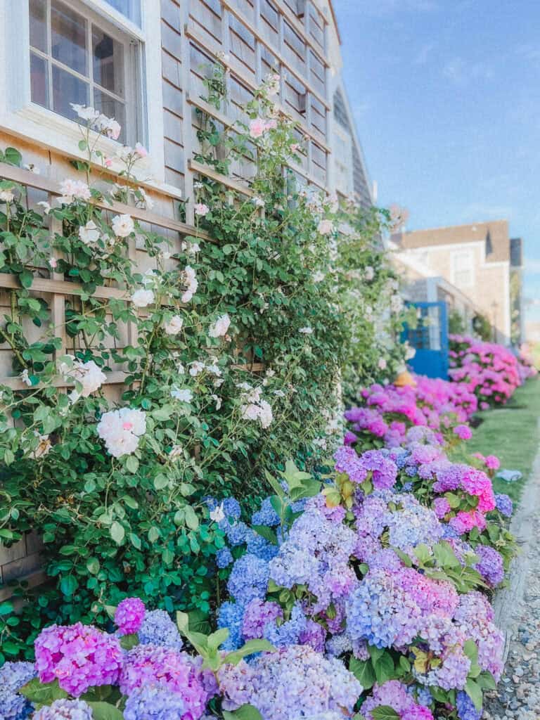 best things to do in Nantucket