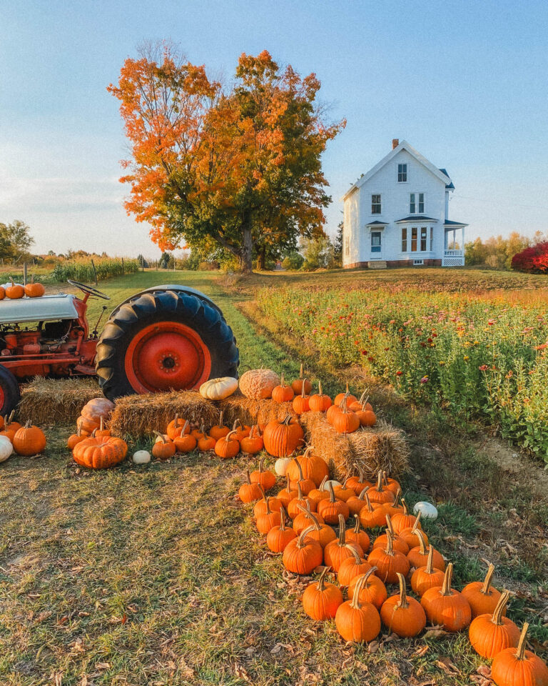 Looking for a perfect weekend getaway in autumn? Here's the perfect itinerary and where you can find all the best New Hampshire fall colors!