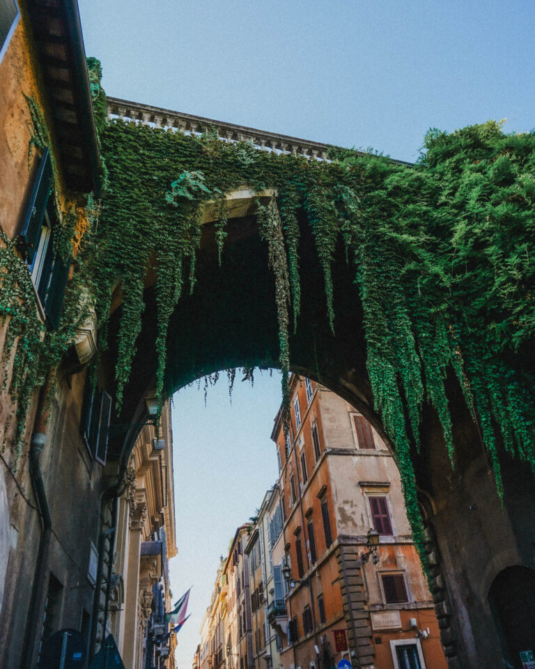 In this charming neighborhood of Trastevere you can find lush vegetation scaled the ancient building facades and cobblestone streets. The buildings that also line this street are usually beautiful colors of brown, orange, and yellow that is so classic of Roman architecture.