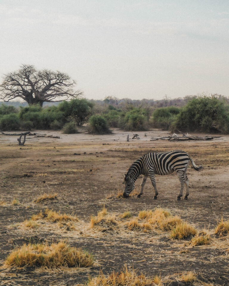 Planning a trip to Africa and it's your first time visiting? Keep reading for are all the best places to visit in Africa for first timers!