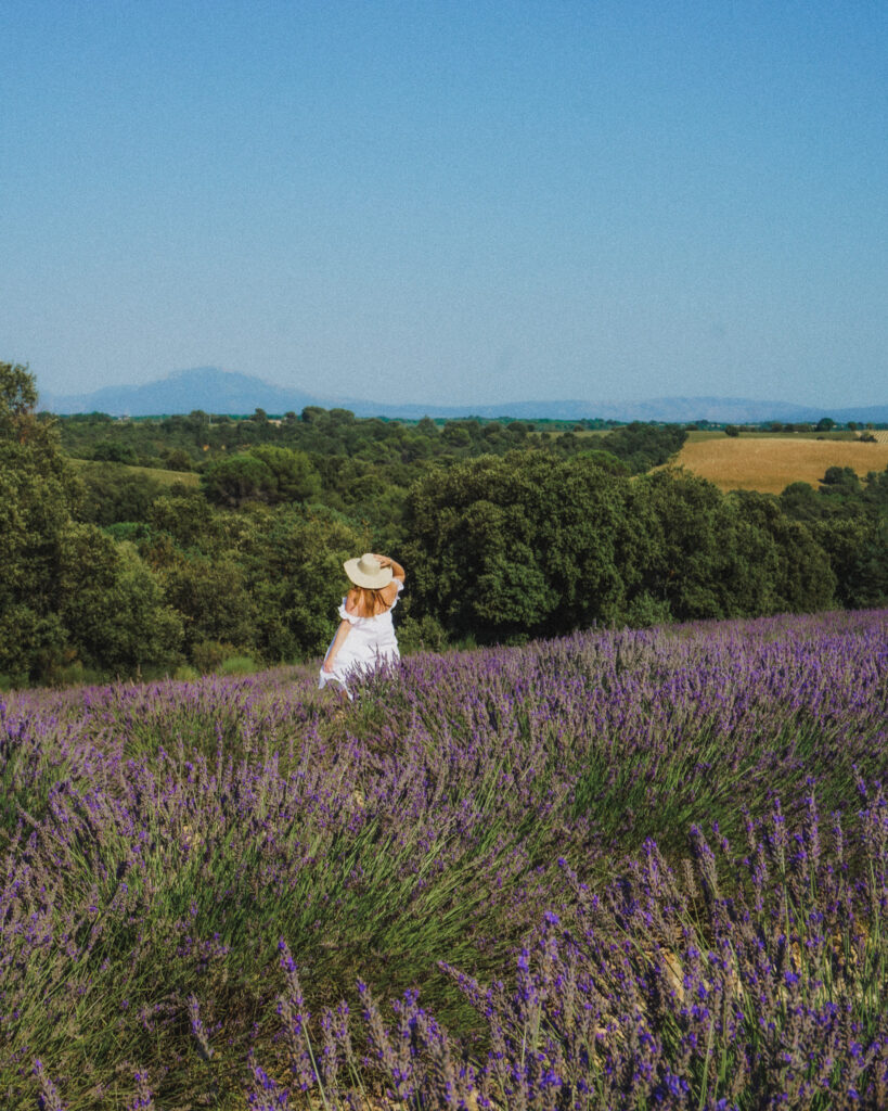 Provence France itinerary 5 days