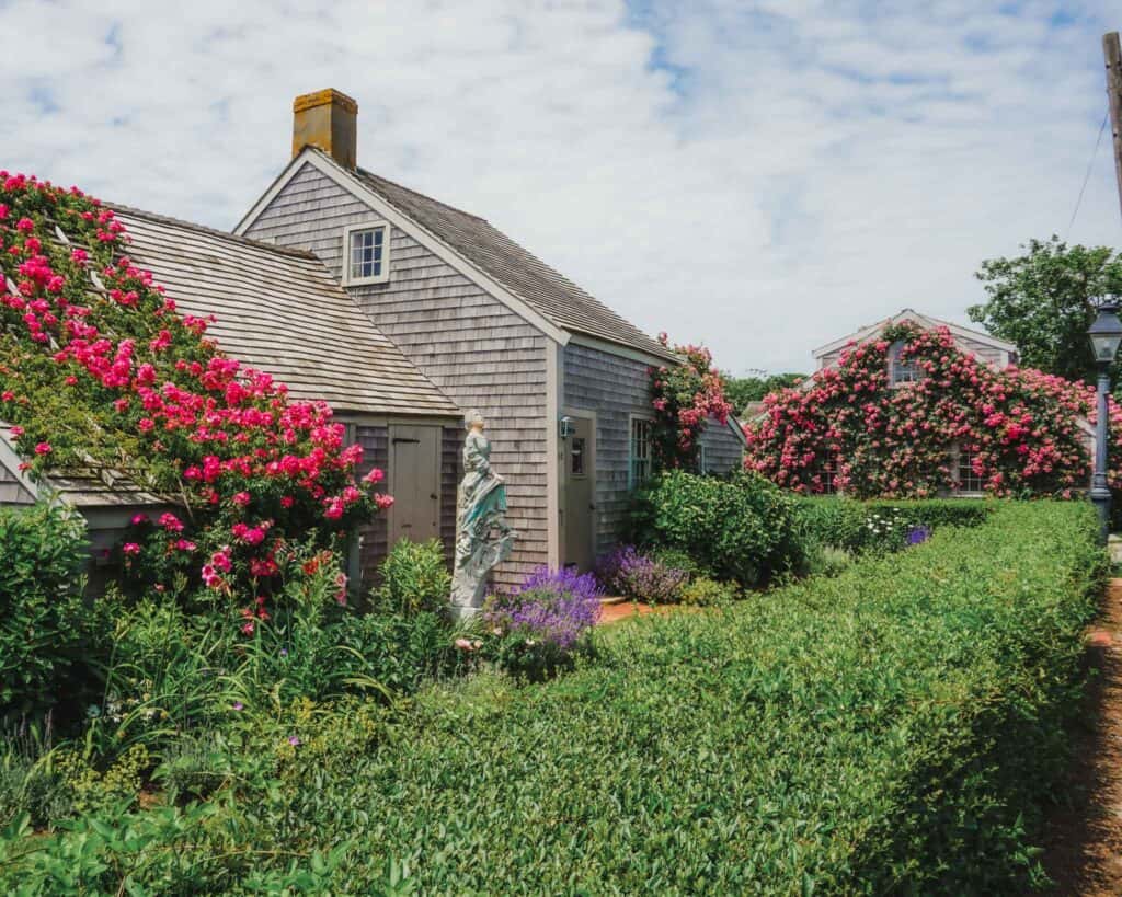 One of the main reasons you need to visit Sconset on your day trip to Nantucket is to see all these lovely homes. Many of them look like they could be right out of a Disney storybook fairytale.