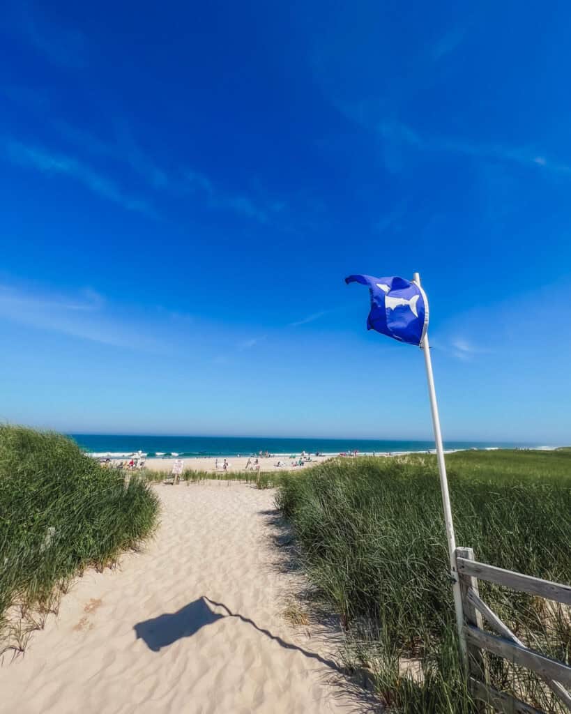 This typical New England beach has beautiful tall grass paving a sandy walkway to the soft sand and the ocean. New England has some of the best beaches in the USA!