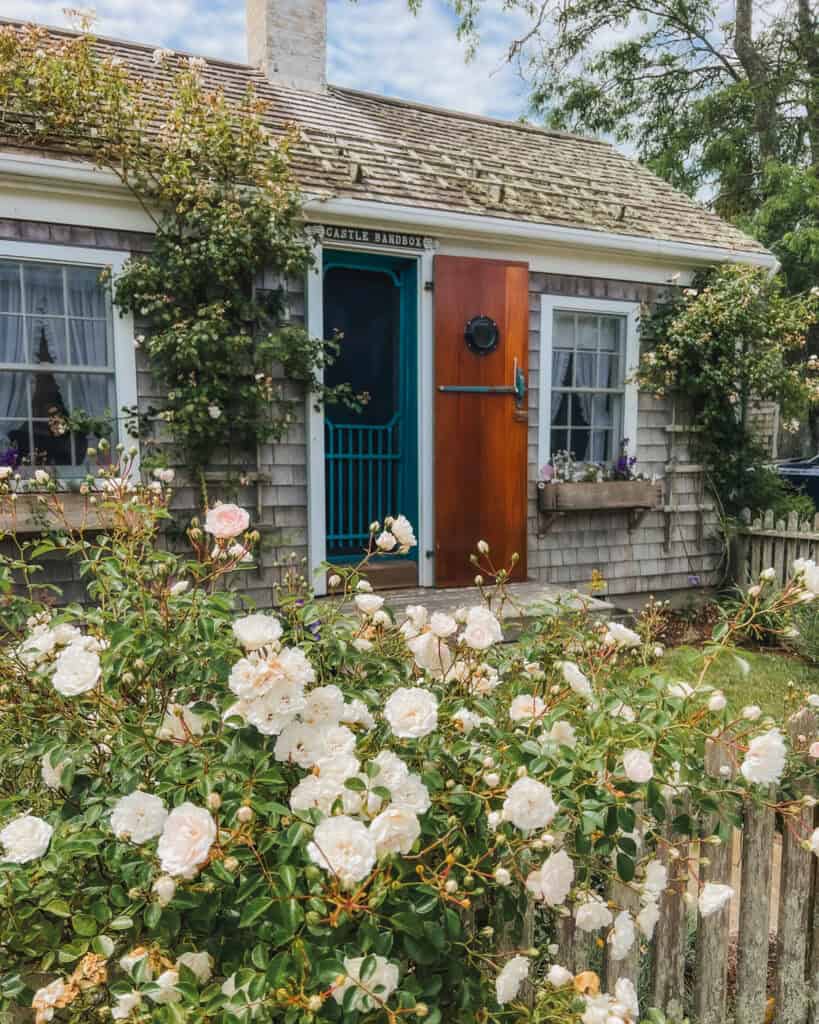 This gray shingled one-story cottage in Sconset even has a circular, nautical window on the front door. It is consistent with how lovely most of the cottages in this neighborhood are with the roses climbing up the sides and bustling out of the front picket fence.