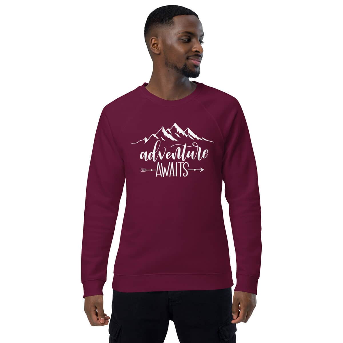 Adventure Awaits | Unisex organic raglan sweatshirt