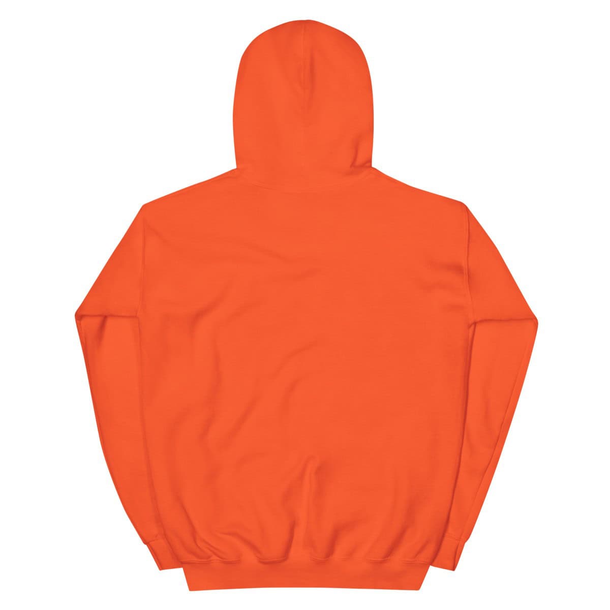 Odyssey April 2025 | Unisex Hoodie