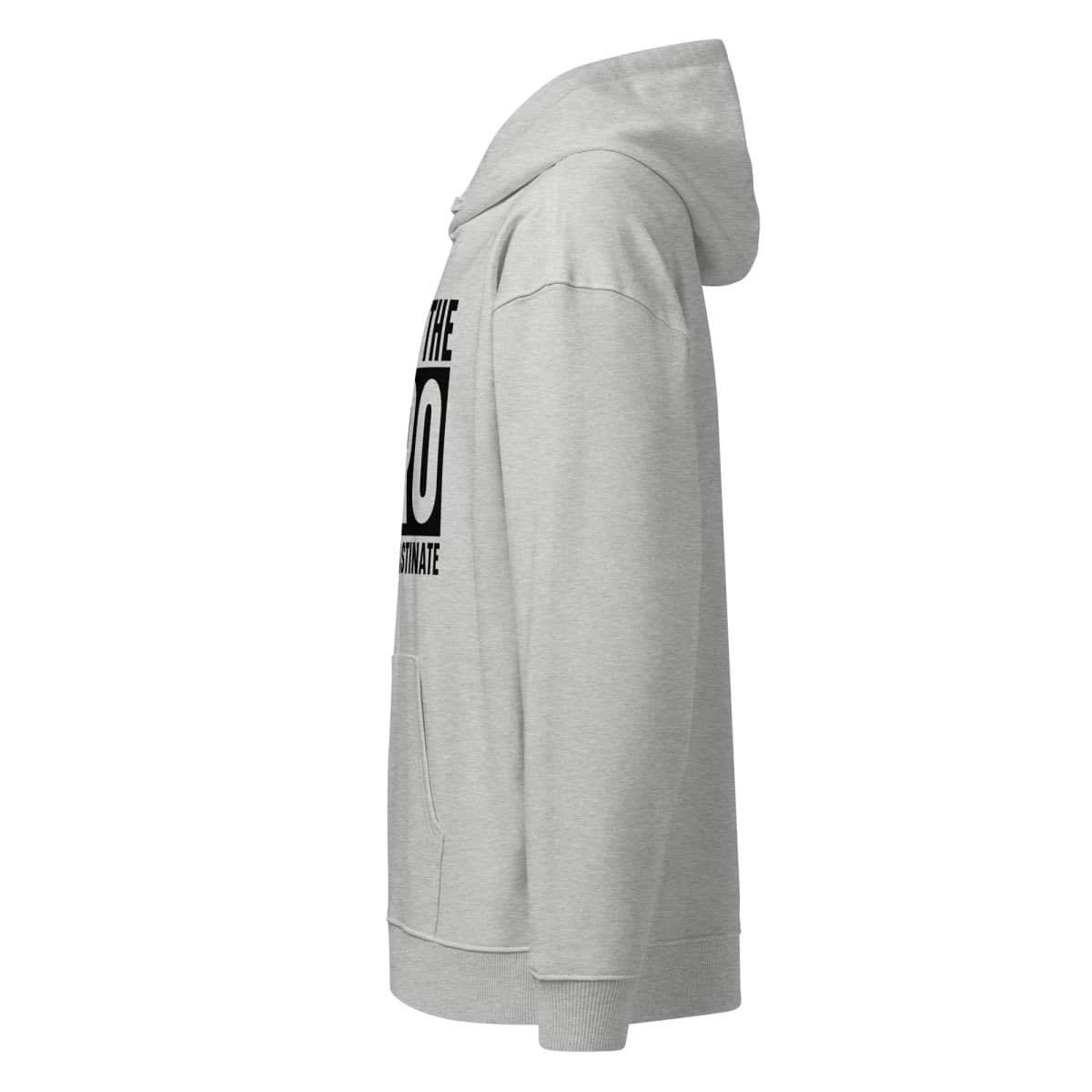 PRO Procrastination | Unisex organic relaxed hoodie