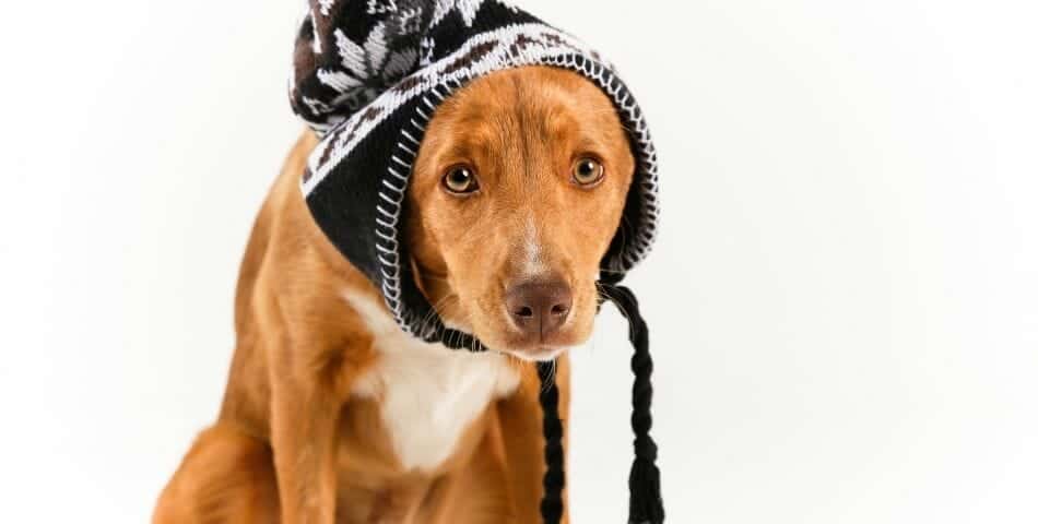 feeling down in winter