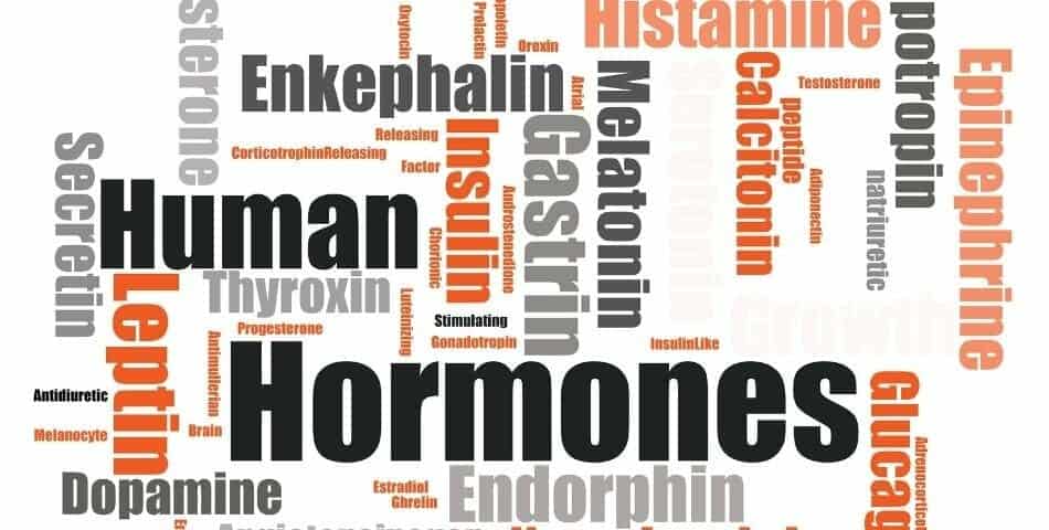 hormones