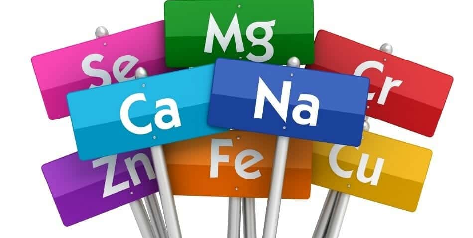 different elements providing the foundations for menopause nutrition.