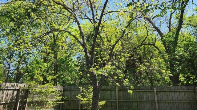 Spring is my absolute favorite time of year.