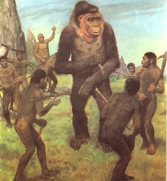 Q: Was religion an evolutionary advantage?
