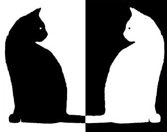 Q: Why do things need to be black and white?