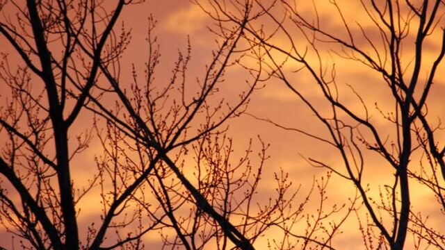 Q: Why is the sky orange sometimes?