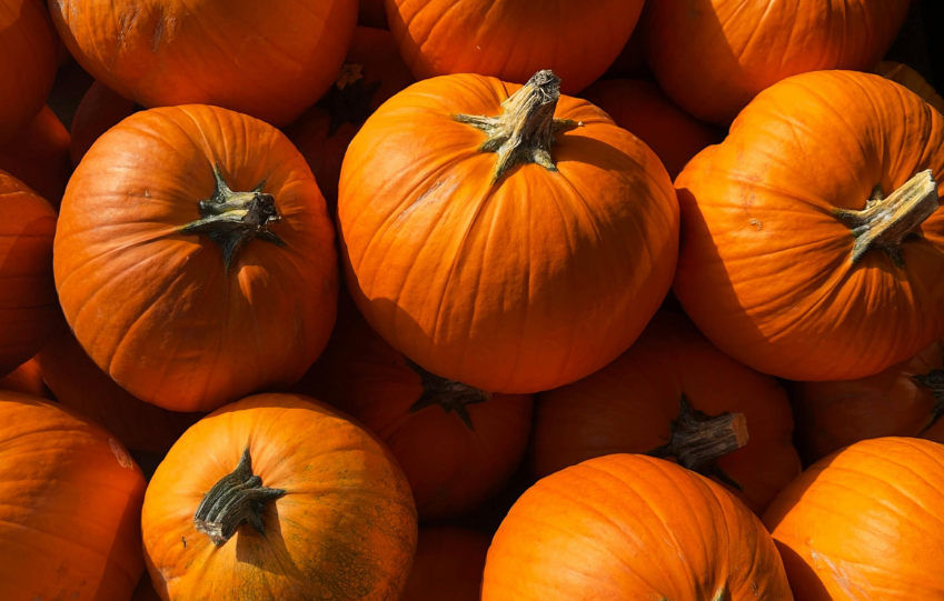 Close-up of orange pumpkins stacked together, autumn harvest display.