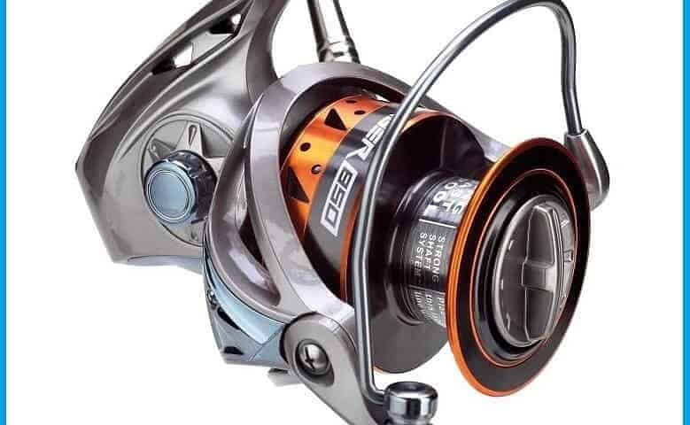 Laser Fish Merate