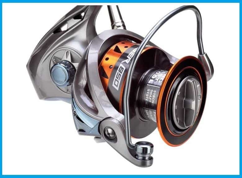 Laser Fish Merate