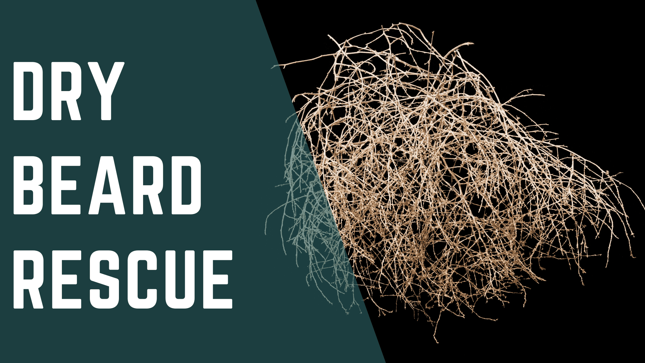 Dry Beard Rescue