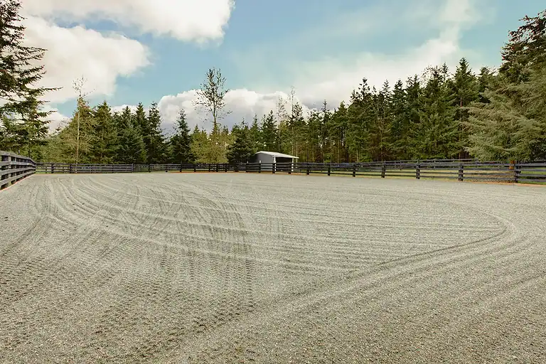 Well-maintained horse arena with sandy footing and fencing, surrounded by trees.