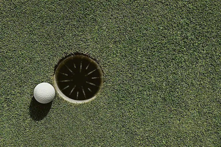 Close-up of turf with golf hole and ball for landscaping or golf course design.