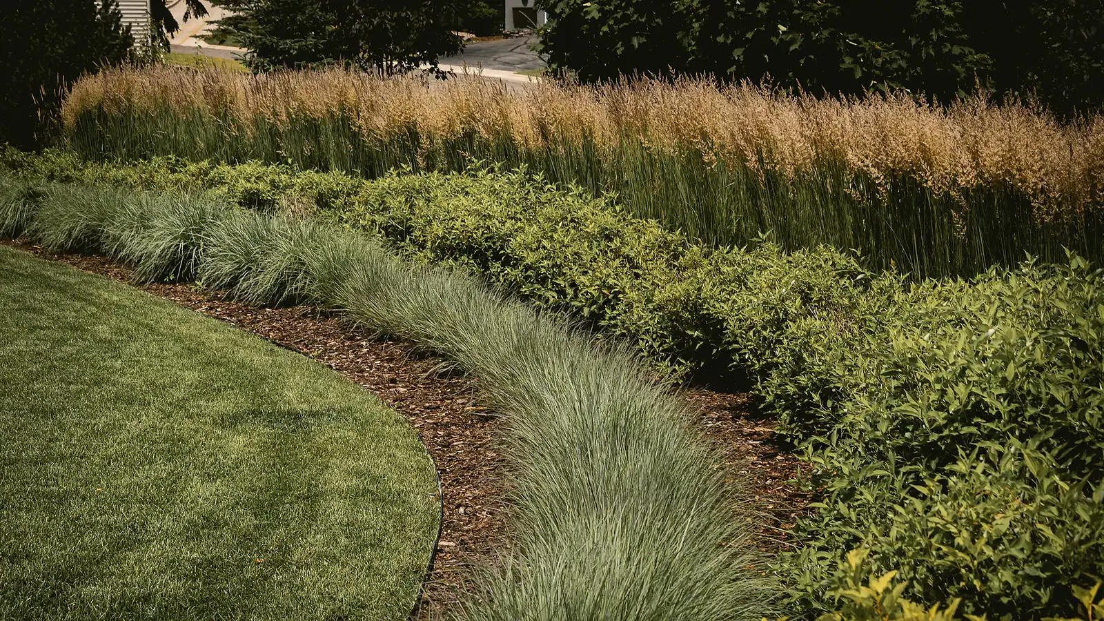 Beautiful landscaped garden with diverse plants and grasses.
