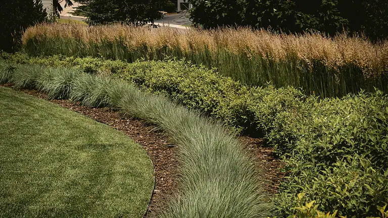 Beautiful landscaped garden with diverse plants and grasses.