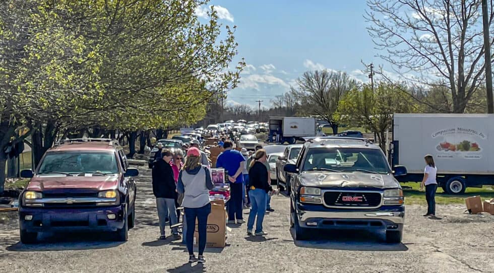 A group of people standing next to a group of trucks.