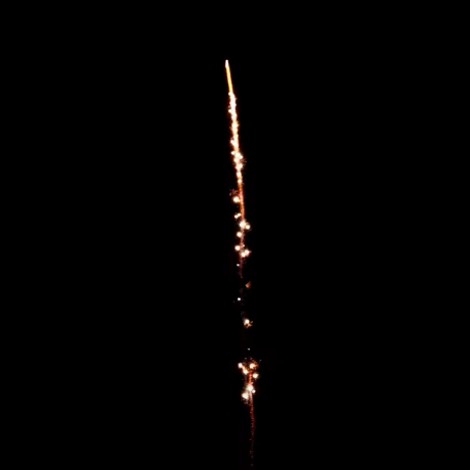 1,2 Crackling Willow Tail_WHSRC308051