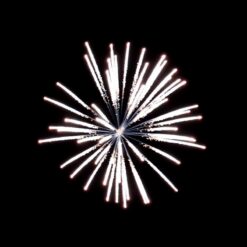 3″ Silver Willow