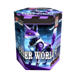 Cyber world F